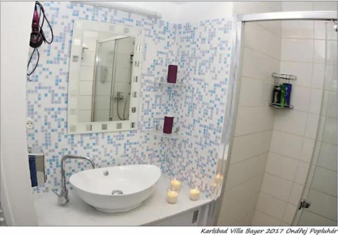 Apartman Vila Bayer Κάρλοβι Βάρι Εξωτερικό φωτογραφία