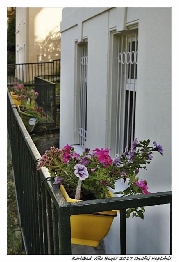 Apartman Vila Bayer Κάρλοβι Βάρι Εξωτερικό φωτογραφία
