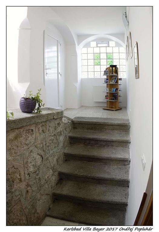 Apartman Vila Bayer Κάρλοβι Βάρι Εξωτερικό φωτογραφία