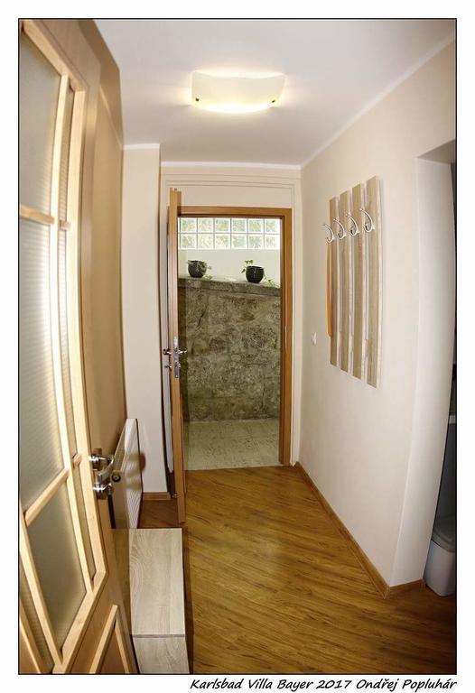 Apartman Vila Bayer Κάρλοβι Βάρι Εξωτερικό φωτογραφία