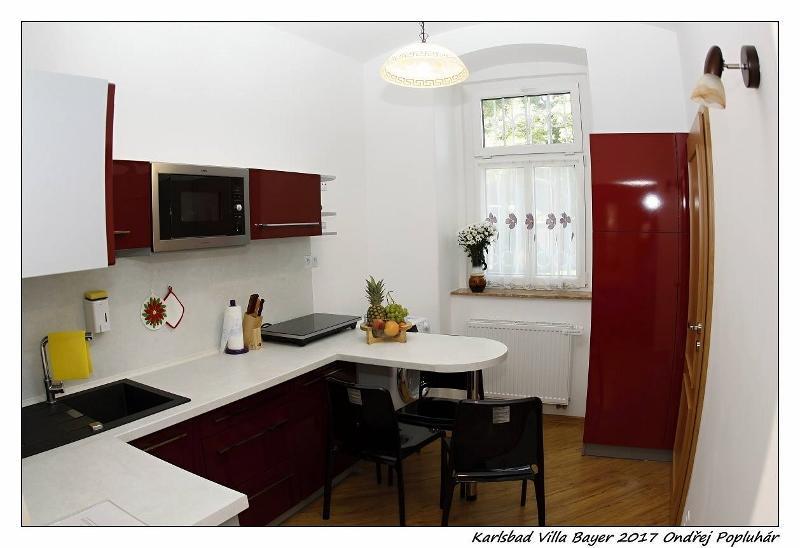 Apartman Vila Bayer Κάρλοβι Βάρι Εξωτερικό φωτογραφία