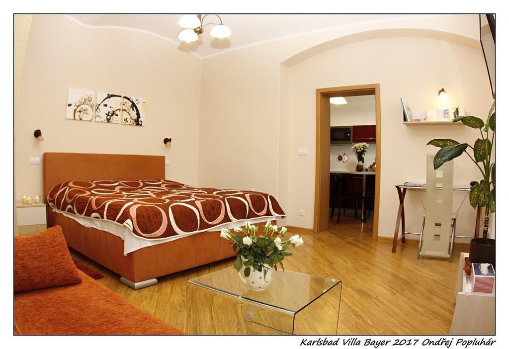 Apartman Vila Bayer Κάρλοβι Βάρι Εξωτερικό φωτογραφία